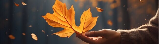 mcb Coaching & Beratung